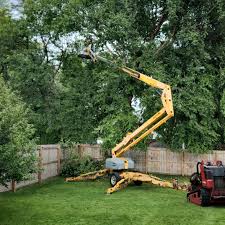 Best Tree and Shrub Care  in Emory, TX